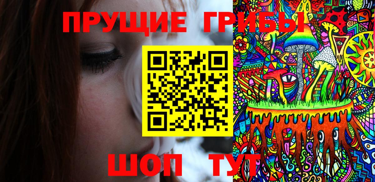 Галлюциногенные грибы Cubensis  Вход с VPN  Касимов 